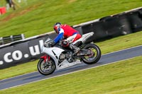 Oulton-Park-14th-March-2020;PJ-Motorsport-Photography-2020;anglesey;brands-hatch;cadwell-park;croft;donington-park;enduro-digital-images;event-digital-images;eventdigitalimages;mallory;no-limits;oulton-park;peter-wileman-photography;racing-digital-images;silverstone;snetterton;trackday-digital-images;trackday-photos;vmcc-banbury-run;welsh-2-day-enduro